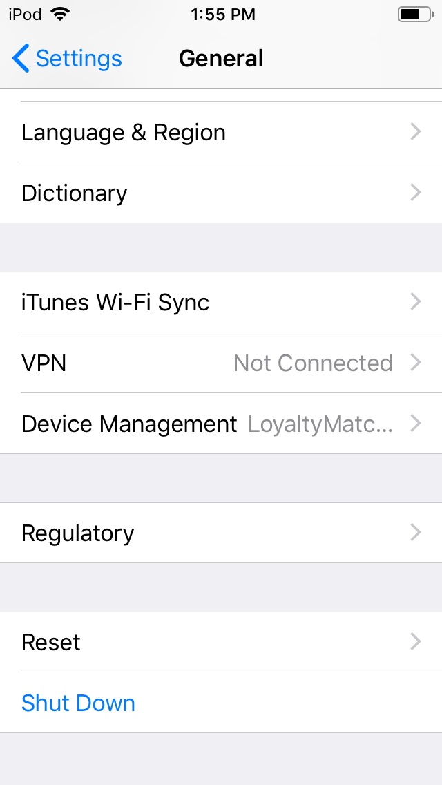 iOS settings screen