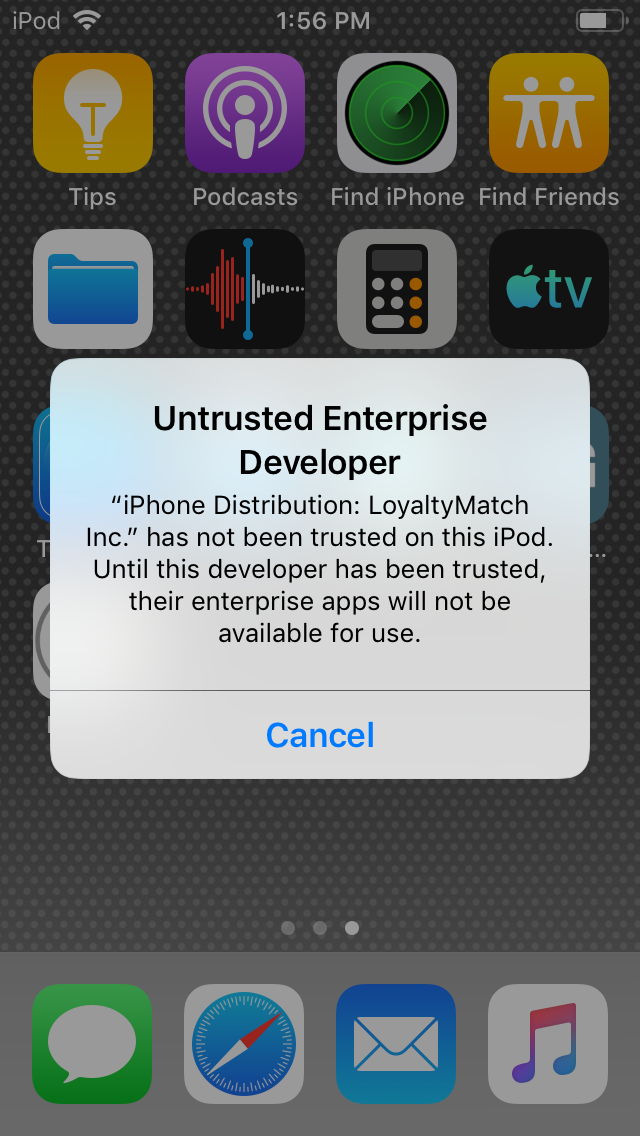 iOS app authorization screen